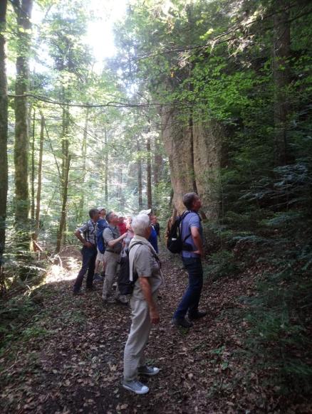 Felsen