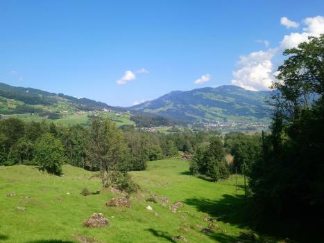 Buosingen1