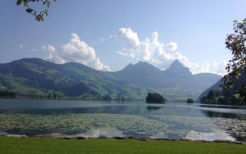 Lauerz im Sommer